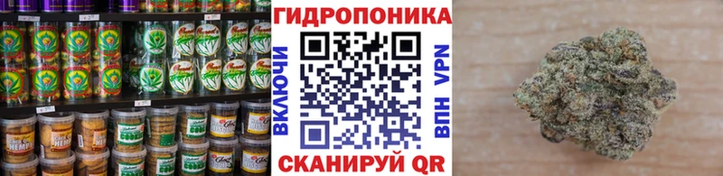 купить закладку  сайты даркнета какой сайт  Cannafood конопля  Кинель 