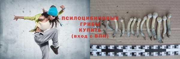 твердый Арсеньев