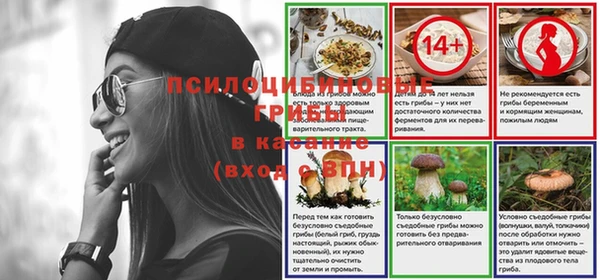 спиды Армянск