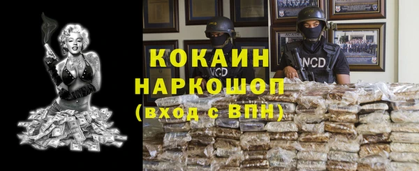 твердый Арсеньев