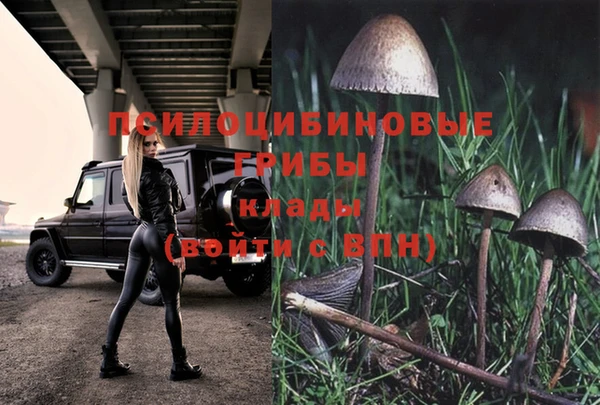 твердый Арсеньев