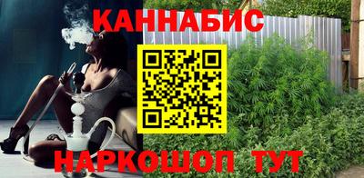 Альфа ПВП Малгобек