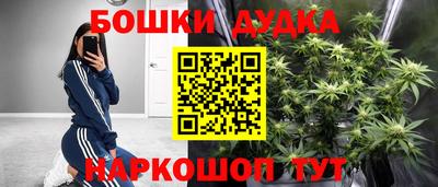 ECSTASY Гусь-Хрустальный