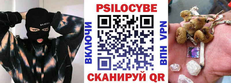где купить Кинель Псилоцибиновые грибы прущие грибы