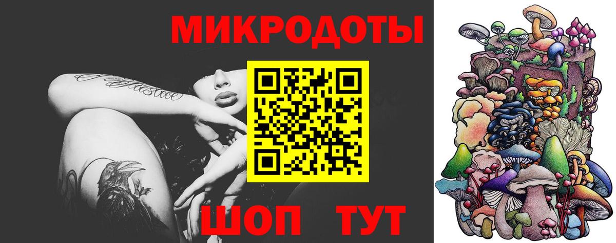Псилоцибиновые грибы прущие грибы Кинель